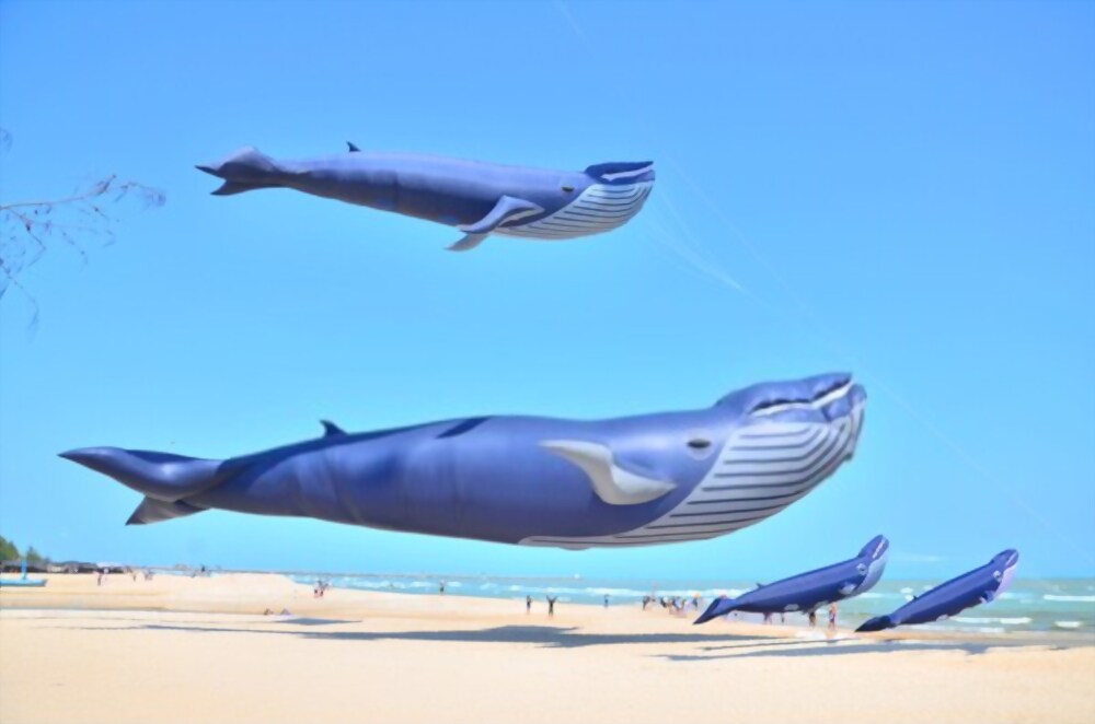 Cerf volant baleine