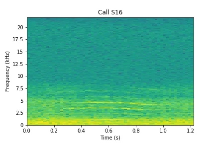 Spectrogramme orque S16