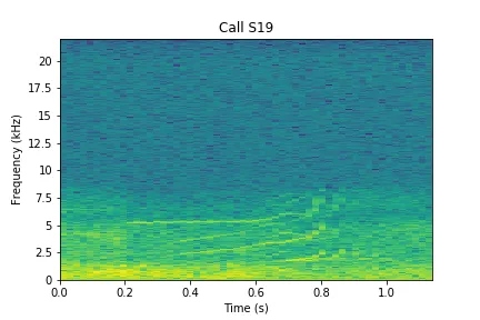 Spectrogramme orque S19