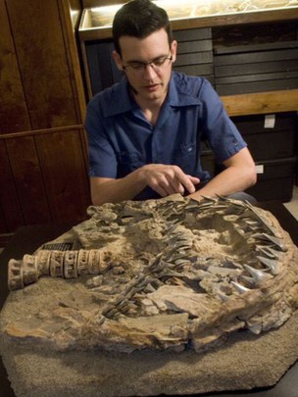 Dana Ehret et le fossile de carcharodon hubbelli