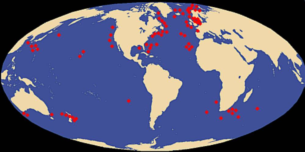 Carte distribution calamar géant
