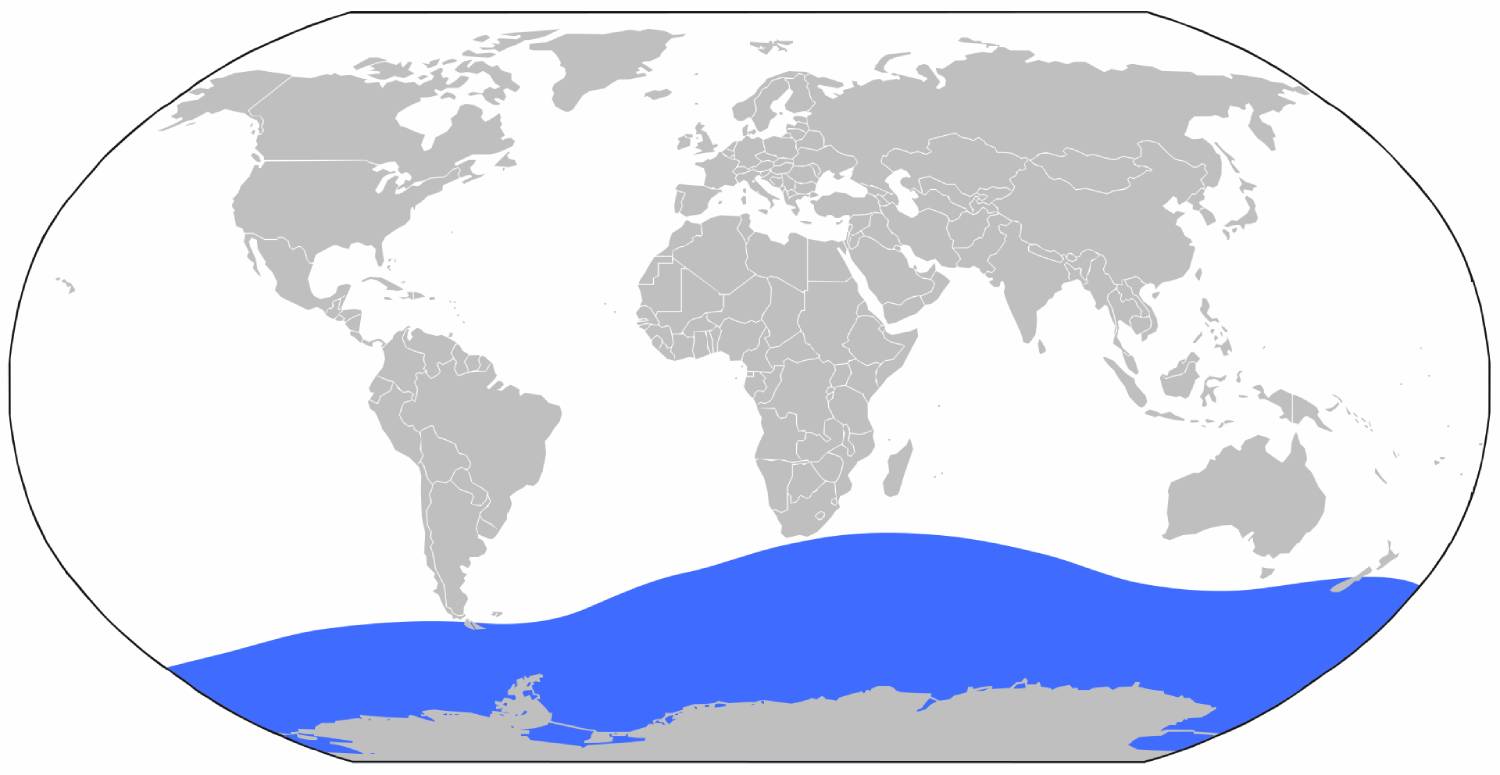 Répartition géographique du calamar colossal