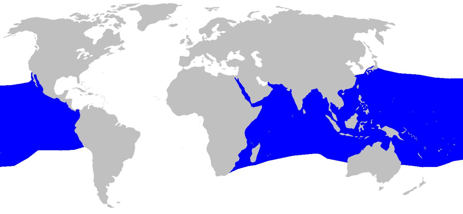 Aire de répartition du requin renard pélagique