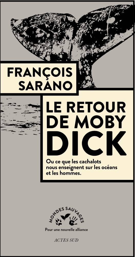 Couverture Le Rretour de Moby Dick