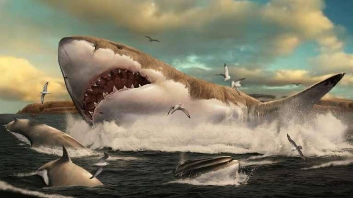 La Reconstitution En 3D Du Mégalodon, Le Plus Grand Requin Du Monde
