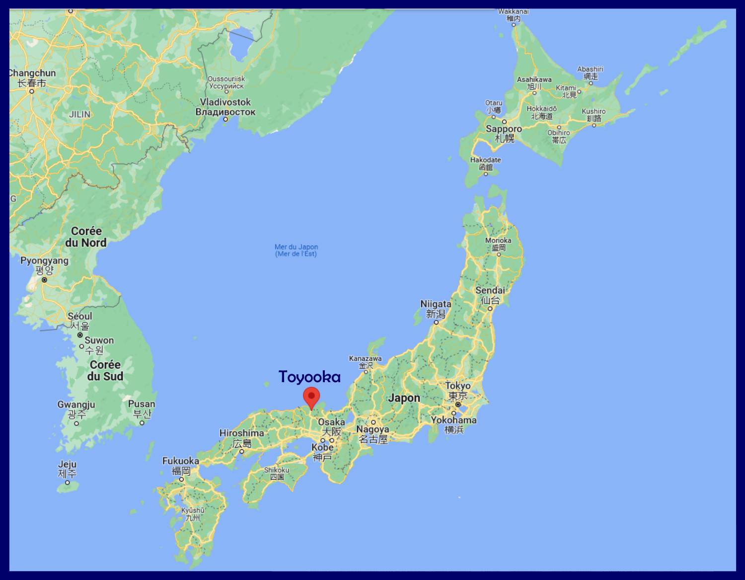 Calamar géant mer du Japon