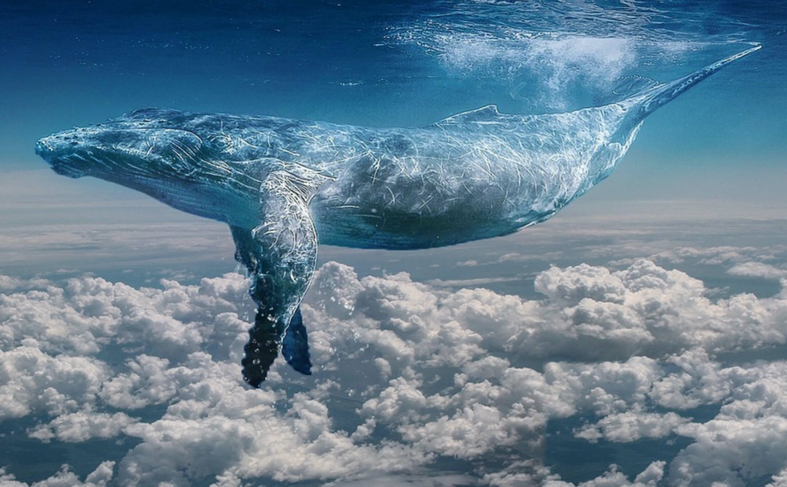 La Baleine Céleste
