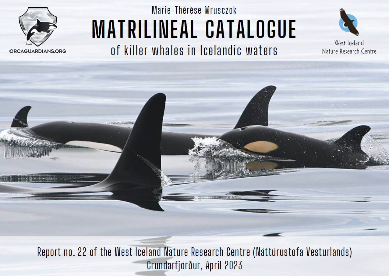Catalogue orque en Islande