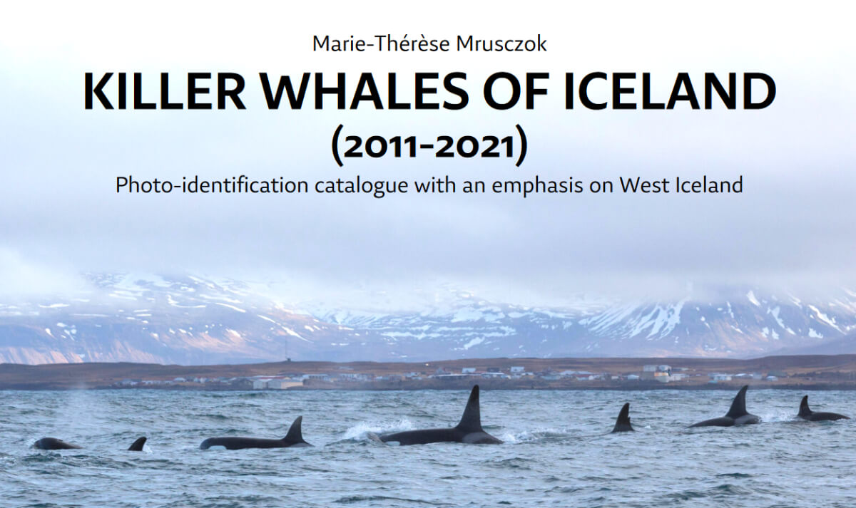 Catalogue orque d'Islande 2011-2021