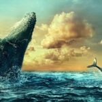 Baleines Et Parc éolien